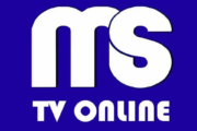 MS TV Online